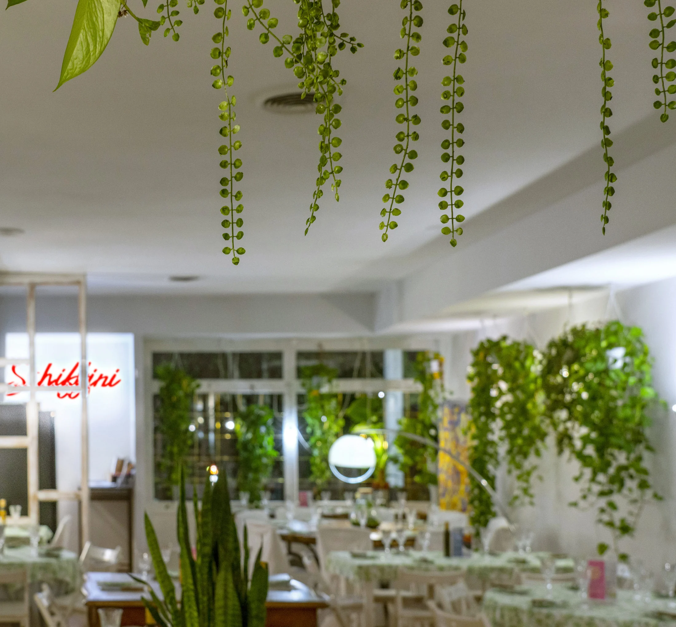 Bright dining room with hanging plants